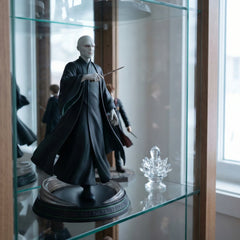 Lord Voldemort - Harry Potter Anime Figure V1