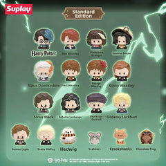 Harry Potter Defense Against the Dark Arts Mini Blind Bags Second Release